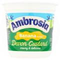 Image of Ambrosia Banana Devon Custard Pot