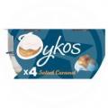 Image of Oykos Salted Caramel Greek Style Yogurts